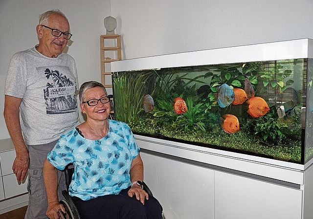 Vereinspräsident Werner Wiget und seine Frau Karin vor ihrem «Amazonas-Aquarium» mit den bunten Diskus-, Neon- und einigen Bodenfischen. (Bild: Achim Günter)
