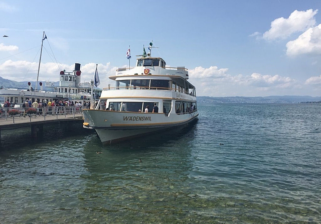 60 Mitglieder von Procap Kanton Solothurn genossen die Schifffahrt auf der MS Wädenswil. (Bild: ZVG)