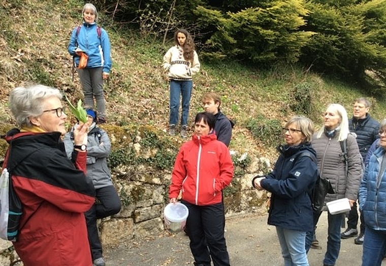 Expertin Nelly Hüsler erklärt der Gruppe am Wildkräutertag die verschiedenen Pflanzenarten. (Bild: ZVG)