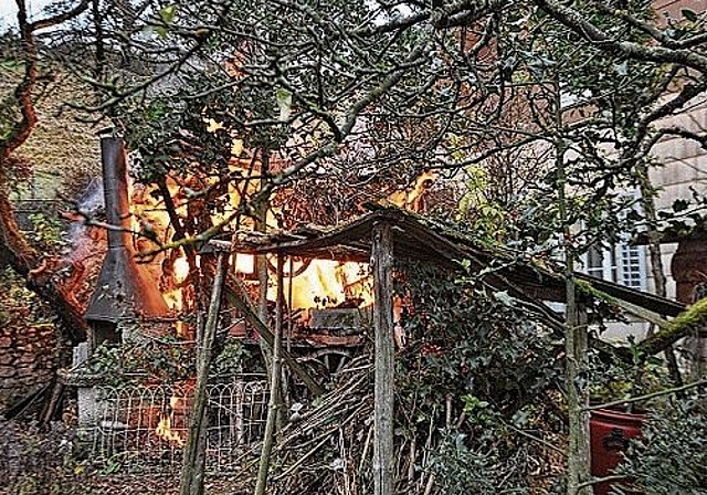 In Trimbach brannte am vergangenen Samstag ein Gartenhaus. (Bild: ZVG)