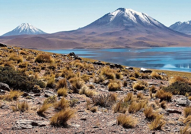 Die Laguna Miscanti im Norden Chiles. (Bild: ZVG)