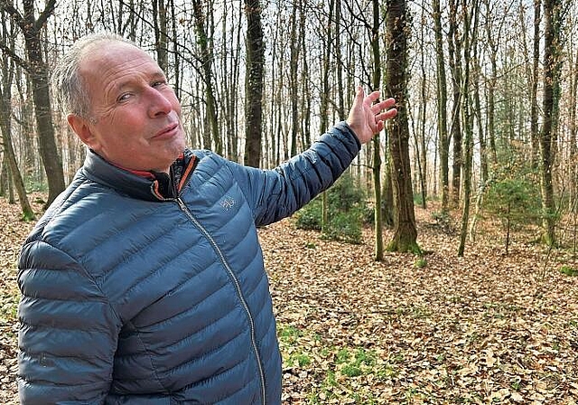 Revierförster Georg Nussbaumer betreut und beobachtet den hiesigen Wald seit 1990. (Bild: Caspar Reimer)