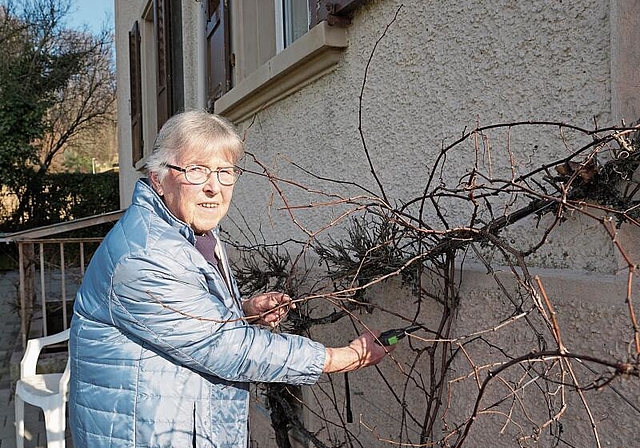 Ida Waltenspühl ist auch oft im Garten anzutreffen, etwa beim Pflegen ihrer Rebe. (Bild: Achim Günter)